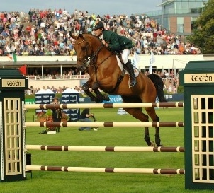 HorseJumping(1)