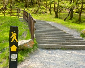 hiking - the path marker